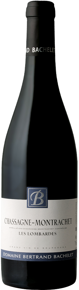 Chassagne-Montrachet rouge