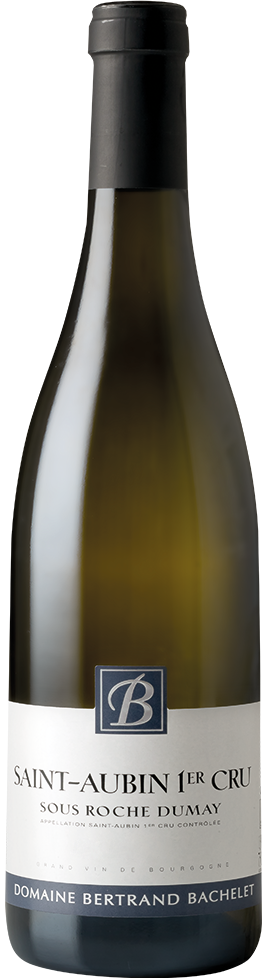 Saint-Aubin 1er cru Sous Roche Dumay